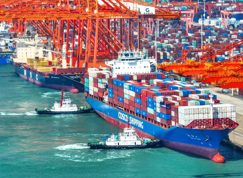 Disposición logística